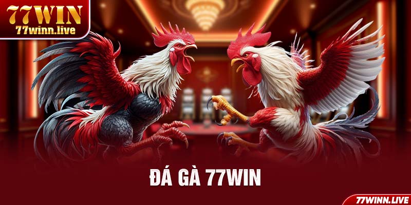 Đá gà 77WIN